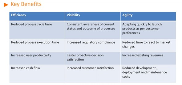 Business Process Management Software